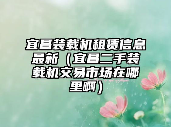 宜昌裝載機租賃信息最新(宜昌二手裝載機交易市場在哪里?。? class=