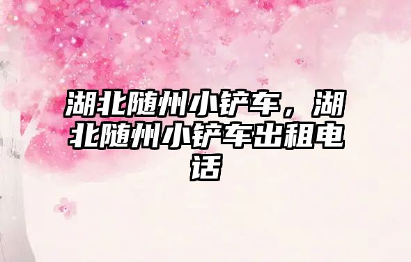 湖北隨州小鏟車，湖北隨州小鏟車出租電話