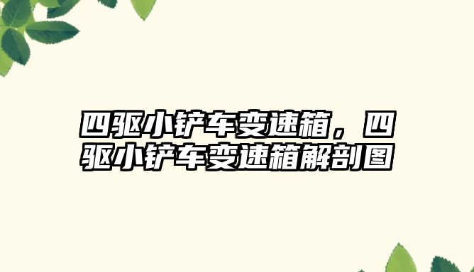 四驅(qū)小鏟車變速箱，四驅(qū)小鏟車變速箱解剖圖