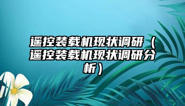 遙控裝載機現(xiàn)狀調研（遙控裝載機現(xiàn)狀調研分析）