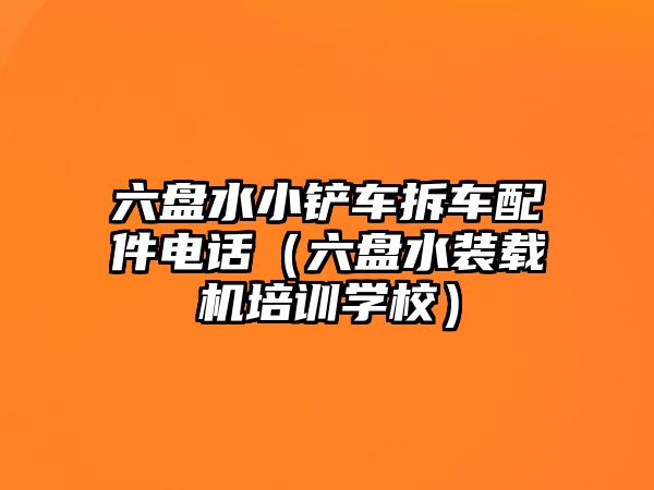 六盤水小鏟車拆車配件電話（六盤水裝載機培訓學校）