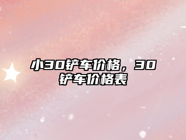小30鏟車價格，30鏟車價格表