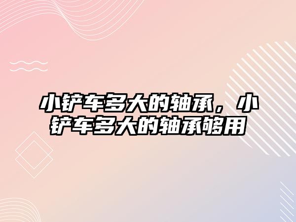 小鏟車多大的軸承，小鏟車多大的軸承夠用