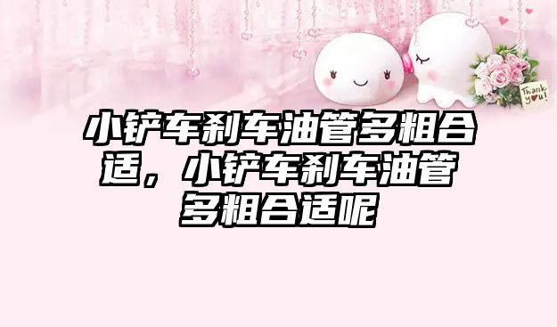 小鏟車剎車油管多粗合適，小鏟車剎車油管多粗合適呢