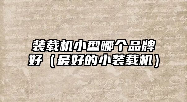 裝載機小型哪個品牌好（最好的小裝載機）