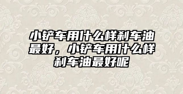 小鏟車用什么樣剎車油最好，小鏟車用什么樣剎車油最好呢