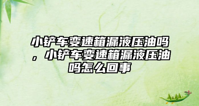 小鏟車變速箱漏液壓油嗎，小鏟車變速箱漏液壓油嗎怎么回事