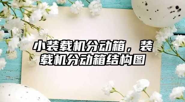 小裝載機分動箱，裝載機分動箱結構圖