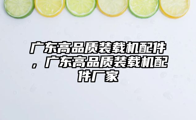 廣東高品質裝載機配件，廣東高品質裝載機配件廠家