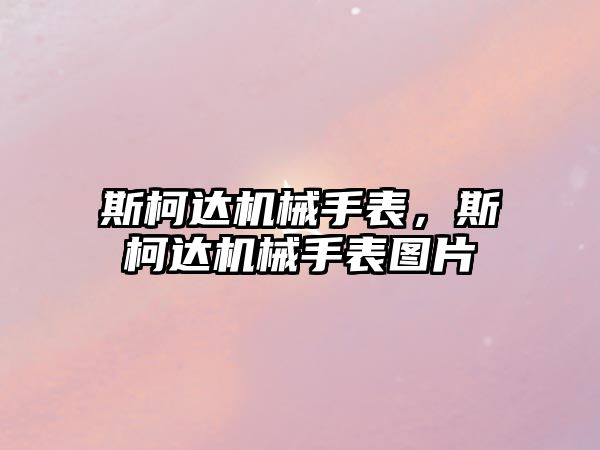 斯柯達機械手表，斯柯達機械手表圖片