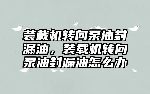 裝載機轉向泵油封漏油，裝載機轉向泵油封漏油怎么辦