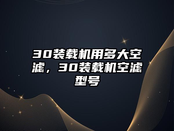30裝載機用多大空濾，30裝載機空濾型號