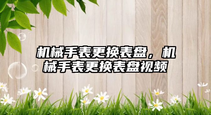 機械手表更換表盤，機械手表更換表盤視頻