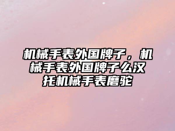 機(jī)械手表外國牌子，機(jī)械手表外國牌子么漢托機(jī)械手表磨駝