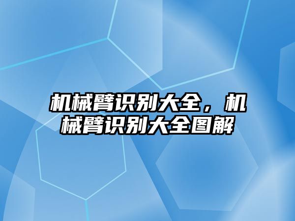 機械臂識別大全，機械臂識別大全圖解