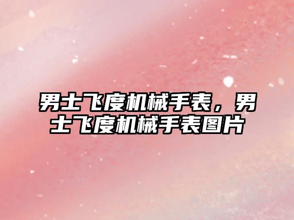 男士飛度機械手表，男士飛度機械手表圖片