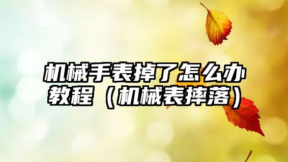 機械手表掉了怎么辦教程（機械表摔落）